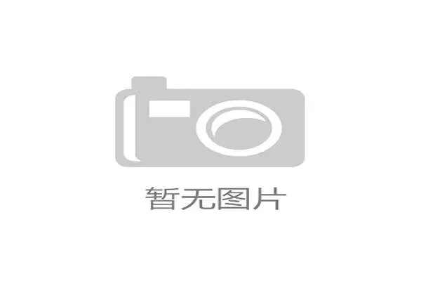 马赫雷斯世界杯黑马之路分析